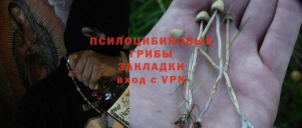 соль курить ск Богородск